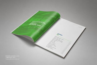 鼎盛企業集團形象畫冊及產品畫冊設計執行方案 構建統一、卓越的企業視覺形象